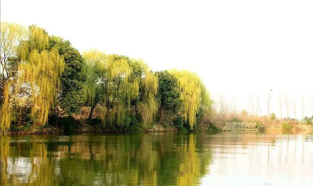 元宵节之后柳吐芽猜一成语_木猜一成语疯狂看图(2)