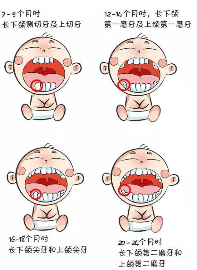 宝宝出牙问题大全推荐收藏