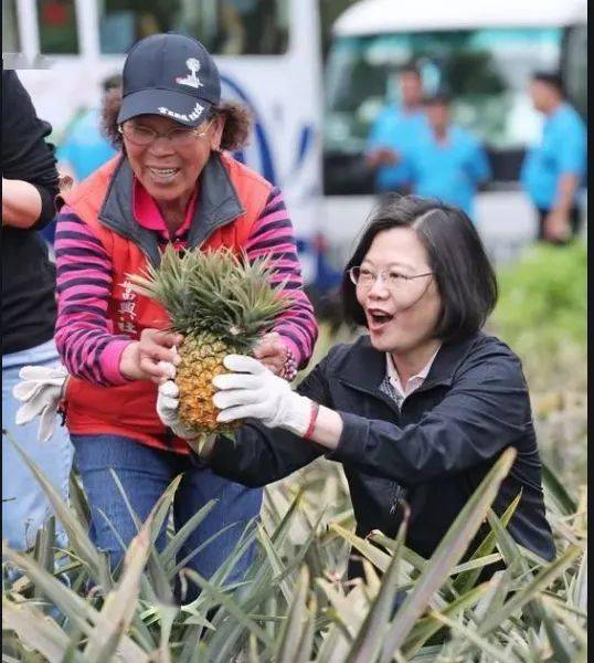 åƒå‡¤æ¢¨ å¤§é™†æš‚åœè¿›å£å°æ¹¾è è è