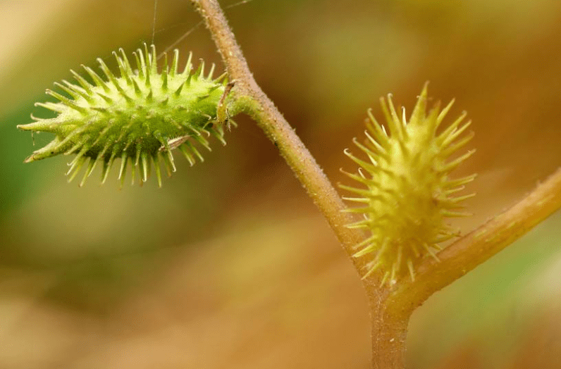 【steam实验】挑战第二十九周:观察尖锐的物体