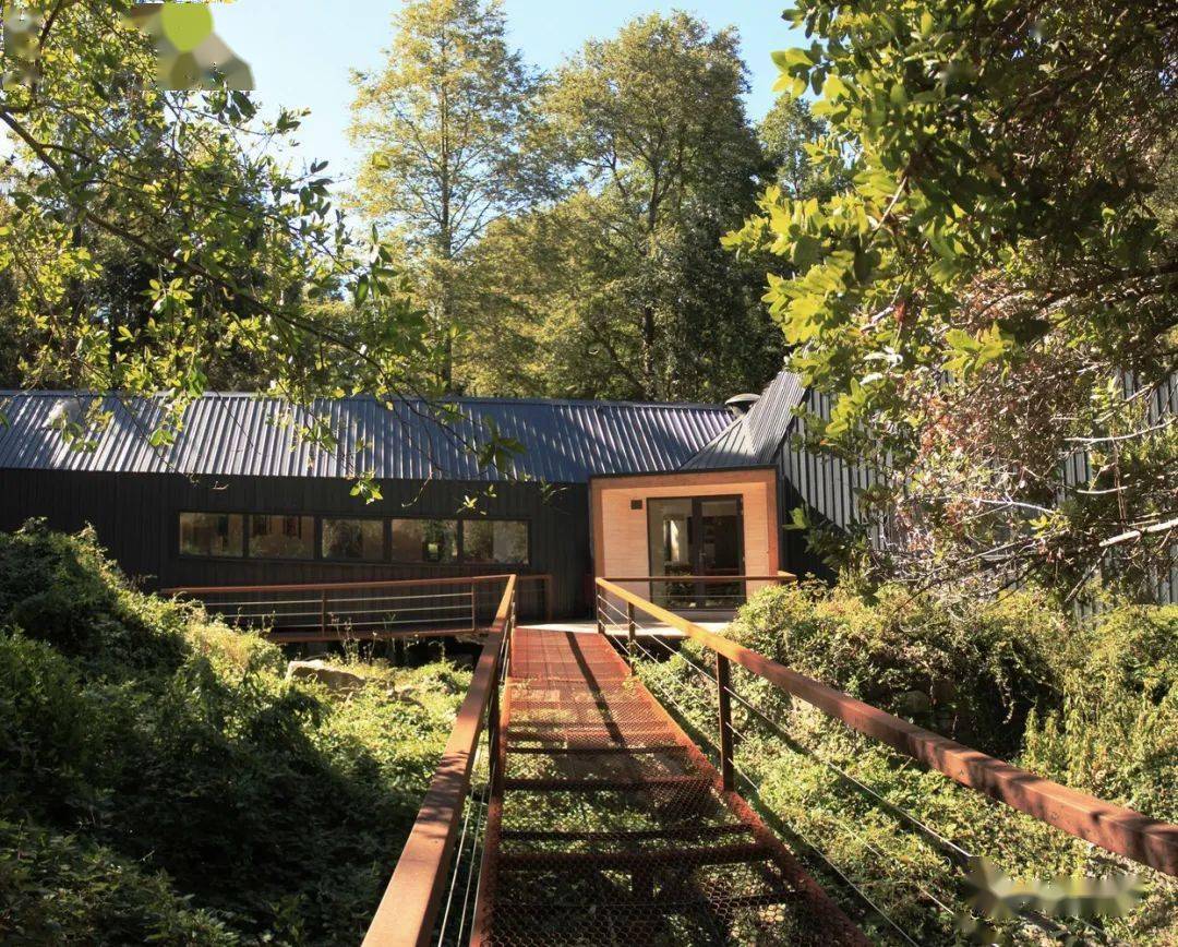 密林里的庇护所岩石上的木屋别墅