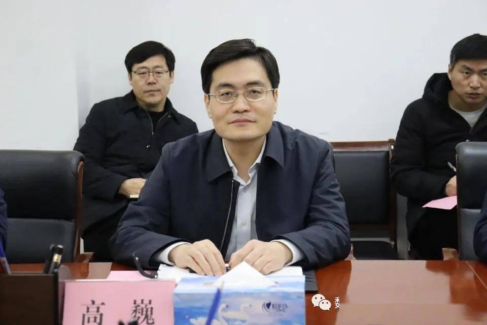 政府县长高巍会见中咨海外旅游中心主任黄伟一行