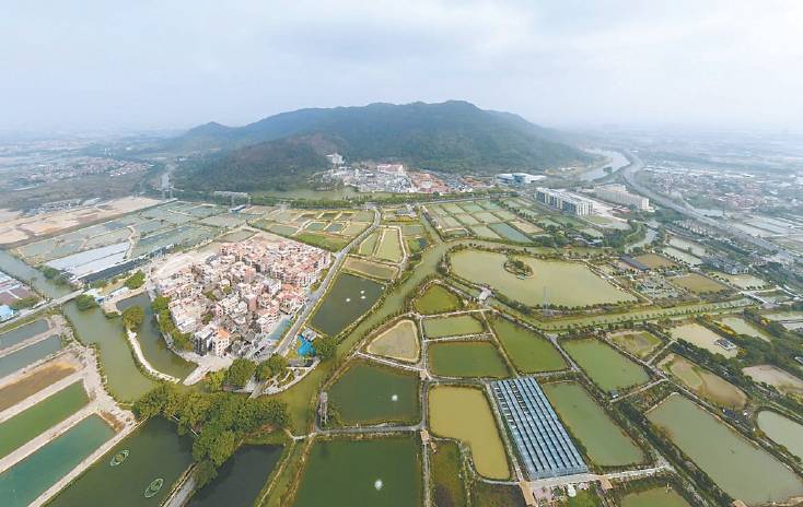 佛山"桑园围":千顷鱼塘万亩田