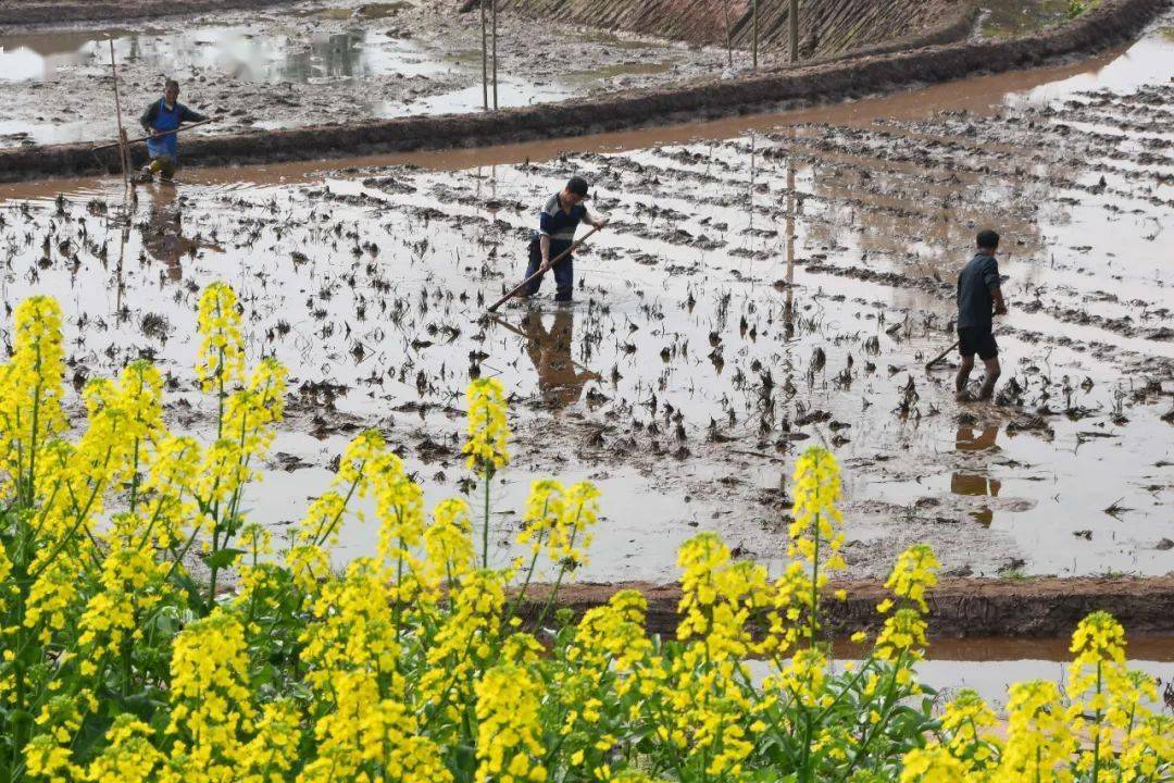 宜宾人口2021_宜宾航班时刻表2021(2)