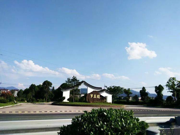 天台这个"紫红村庄"成为网红打卡地!_平桥镇