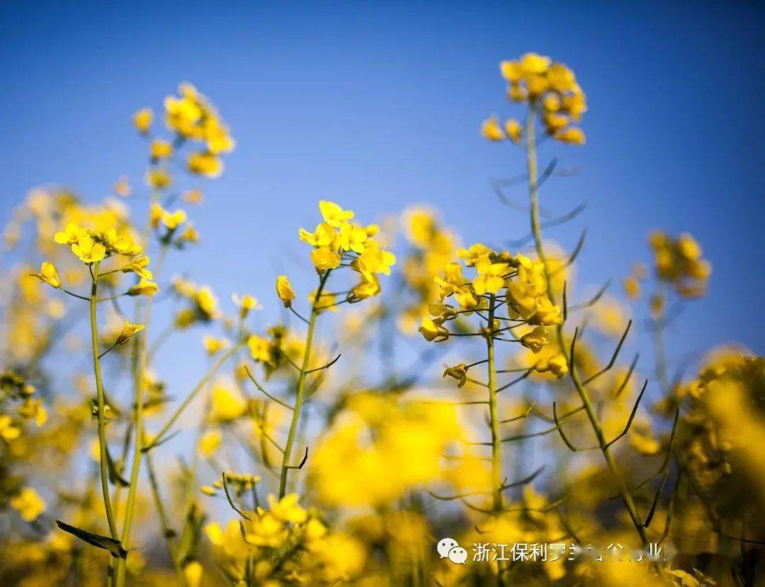 什么时候天晴 671fa638f02a4ba89b399afbe36b9248.jpeg