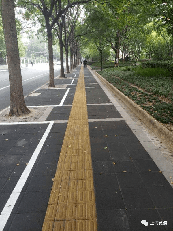 让城市有爱无碍黄浦成功创建全国无障碍环境示范区