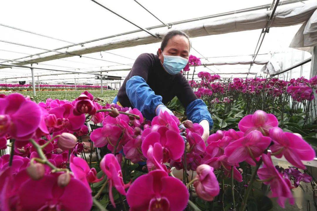 满足订单需求淮高镇福施特包装有限公司马头镇菇小鲜三树镇开淮酒业