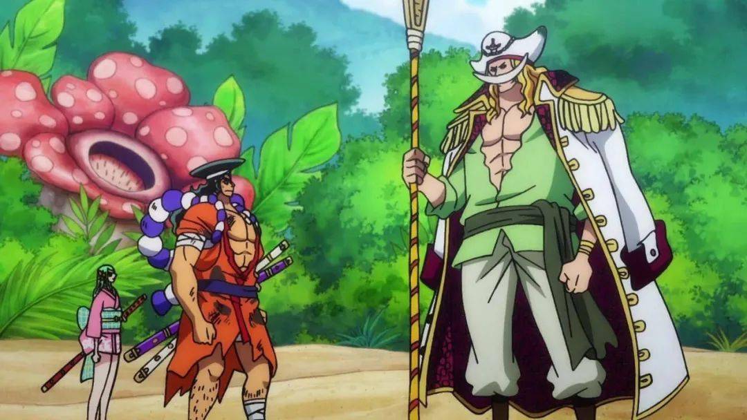 海贼王第964集白胡子的弟弟御田的冒险