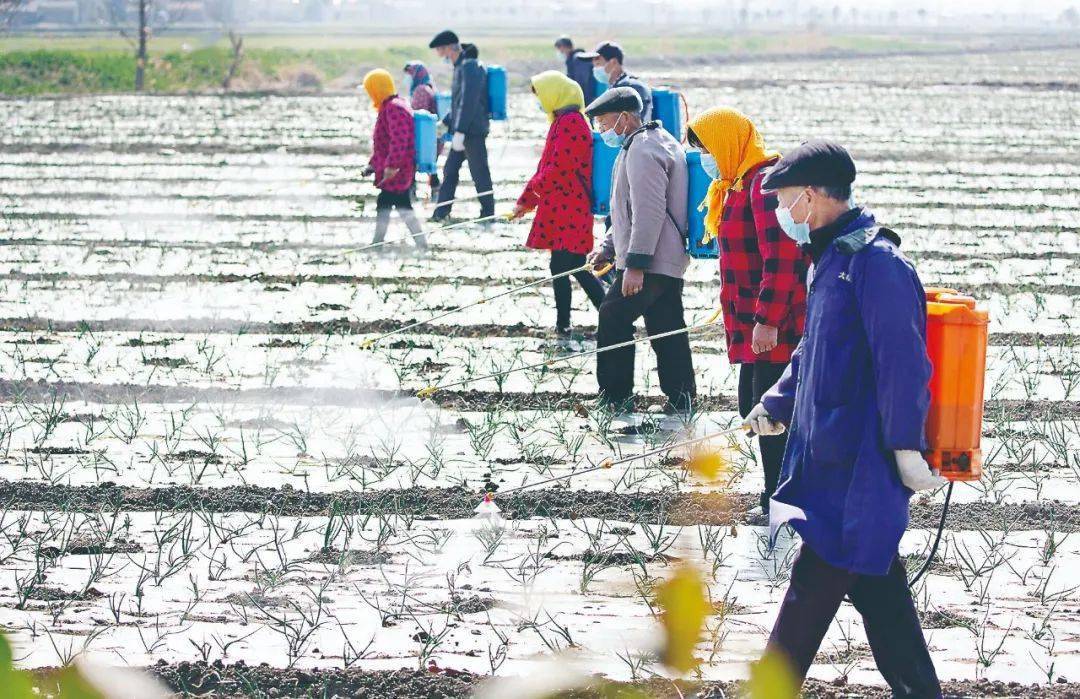 春季的农事活动 来自搜狐网