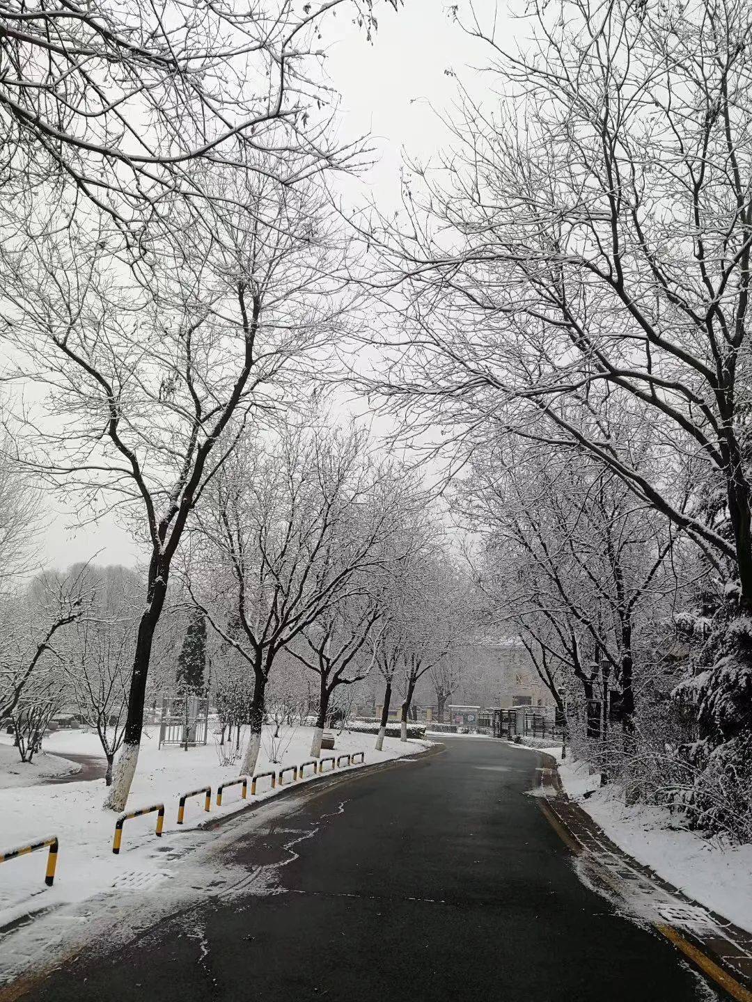 宝坻的第一场雪美丽雪景赏起来