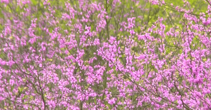 丽水市乡镇经济总量排名_丽水市文化馆图片(2)
