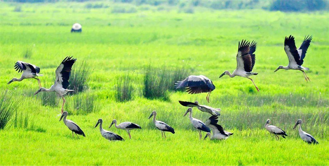 宣威市gdp_宣威市地图(2)