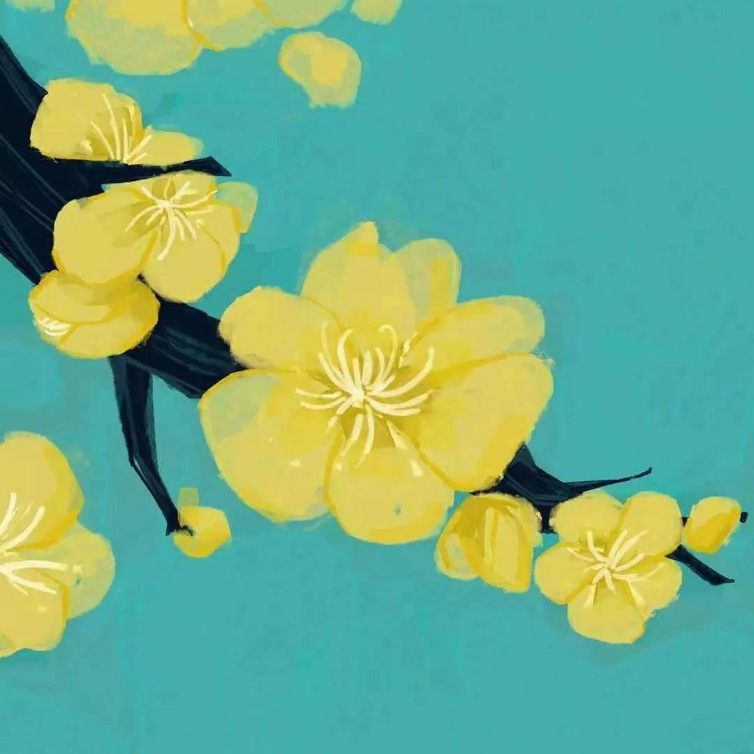 锦花什么月成语_草什么花什么成语(3)