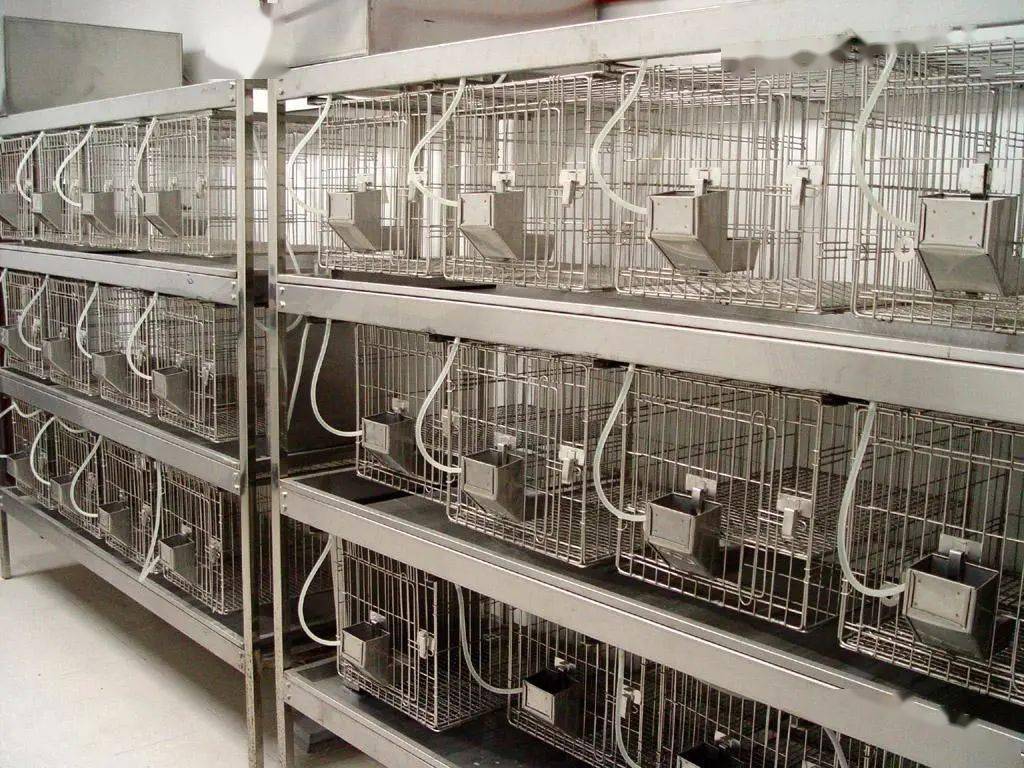 动物实验室建设规模及洁净级别的确定