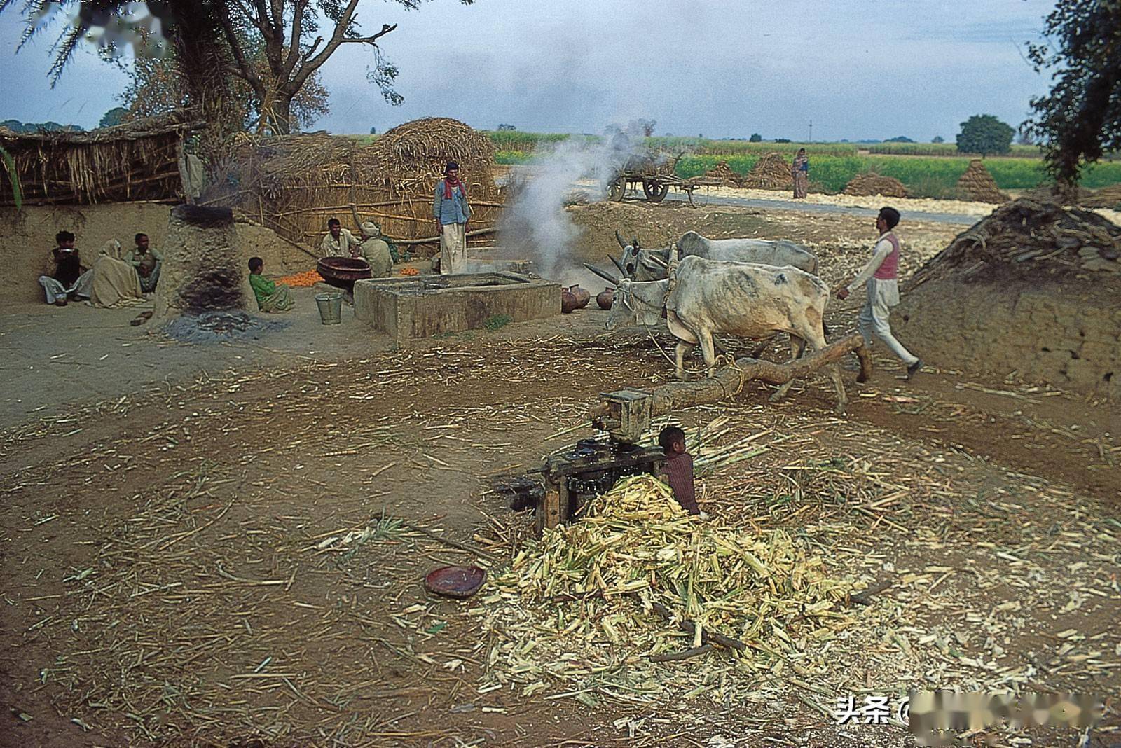 人口多没用_人口多的图片