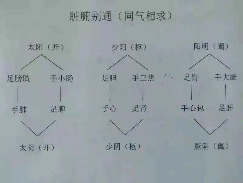 易亦燚 如胆心同病之失眠甚至癫狂