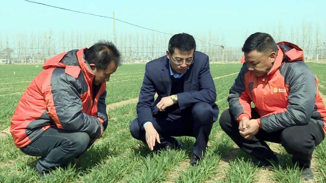春耕备播|土地托管"田保姆"托出农业新气象_宋国胜