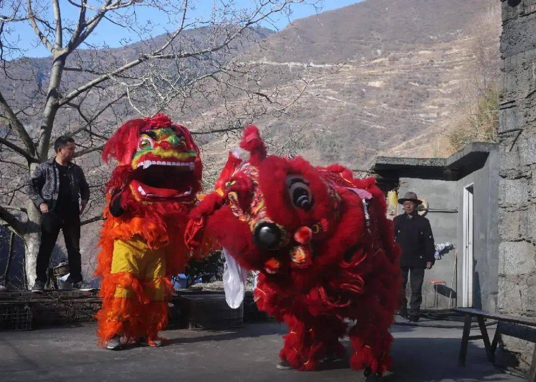 理县 春节藏族狮舞祈求一年四季平安吉祥 狮子舞