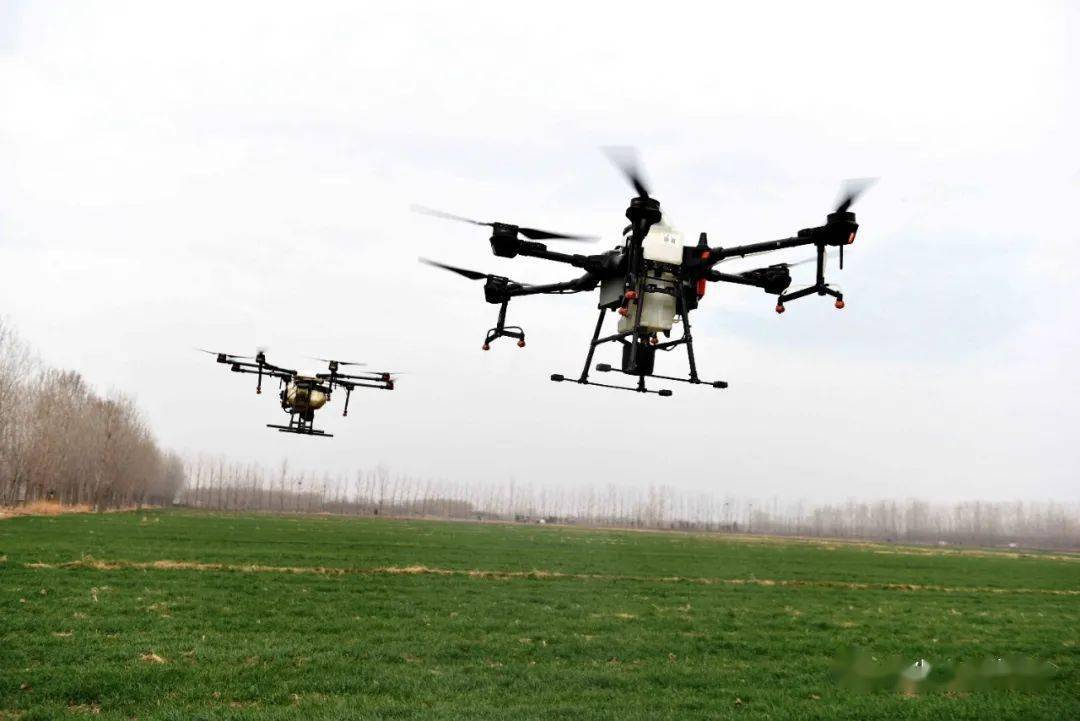 花园镇飞机施肥保丰收航拍组图