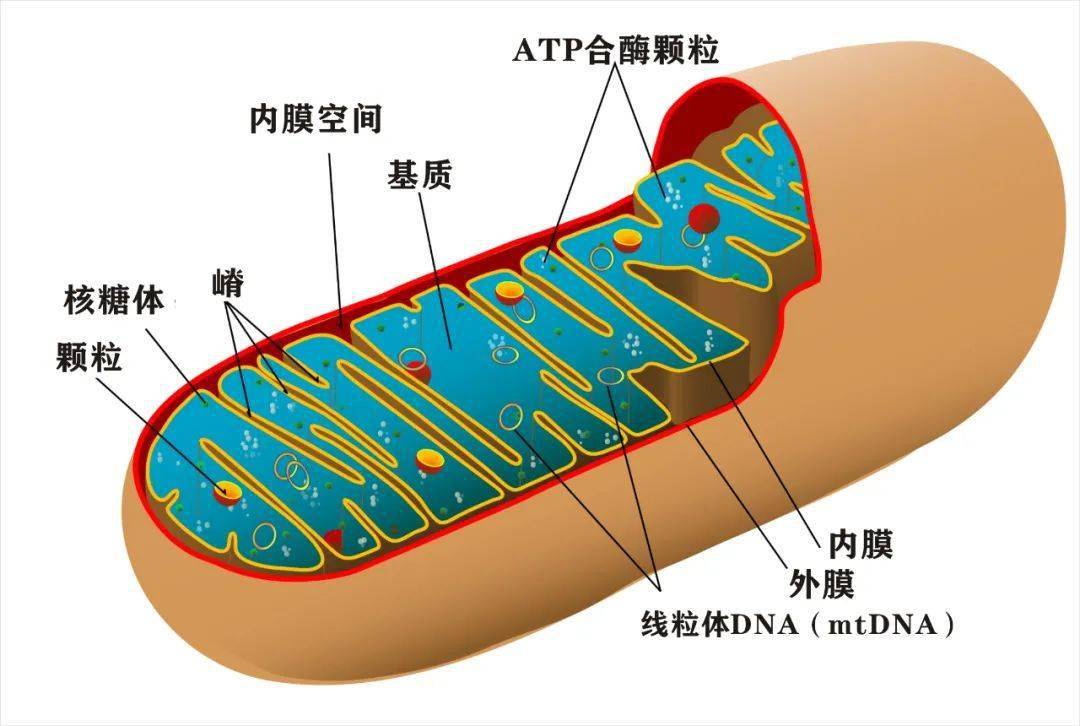 搜狐