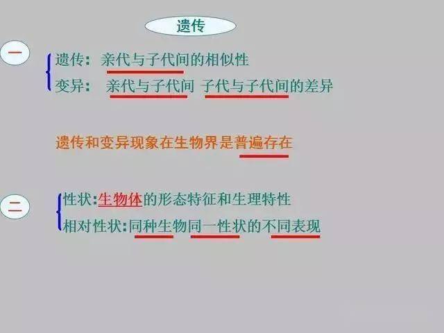 292274eee1b04052a2b966adb6068dcd.jpeg
