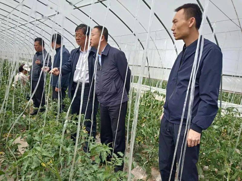 全国脱贫攻坚先进个人白银市扶贫办主任闫志雄