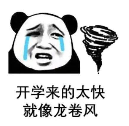 8299b14ba7784a88abec42c6db50ae48.jpeg