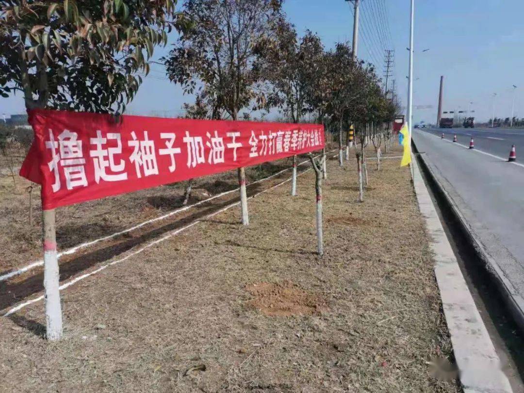 新乡人口2021_2021河南新乡烟花图片(3)