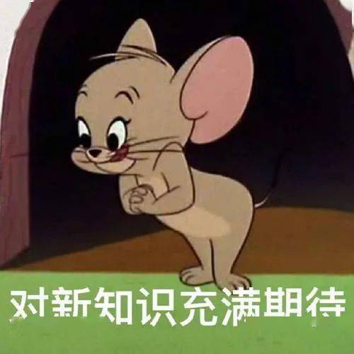 e207043c27544cdf81b63157bcf92906.jpeg