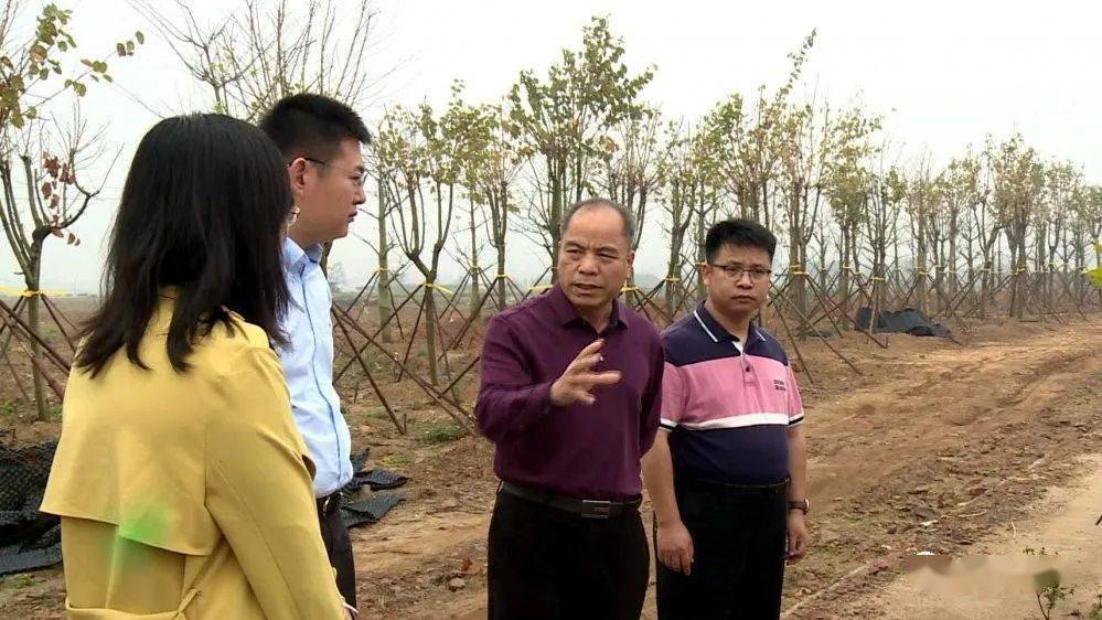 近日,县委常委,宣传部部长韦均来带领调研组到露圩镇调研红色遗址保护