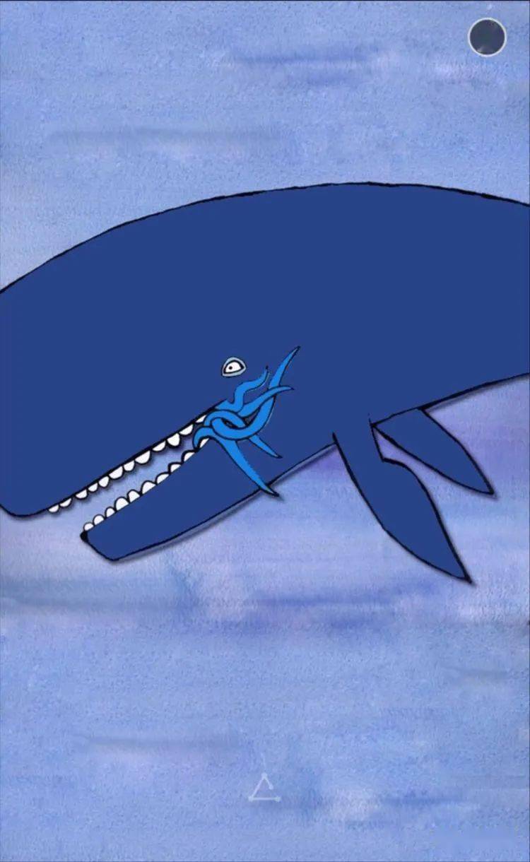 我是一只巨大的乌贼,我很大很大.