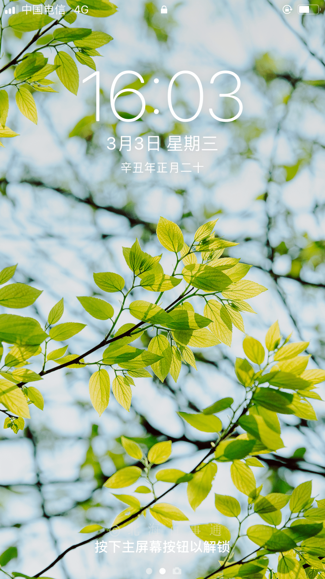 繁花似锦用情景表现出来繁花似锦词意写情景 自媒体热点