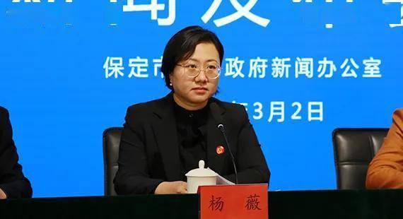 市妇联宣传部部长杨薇.