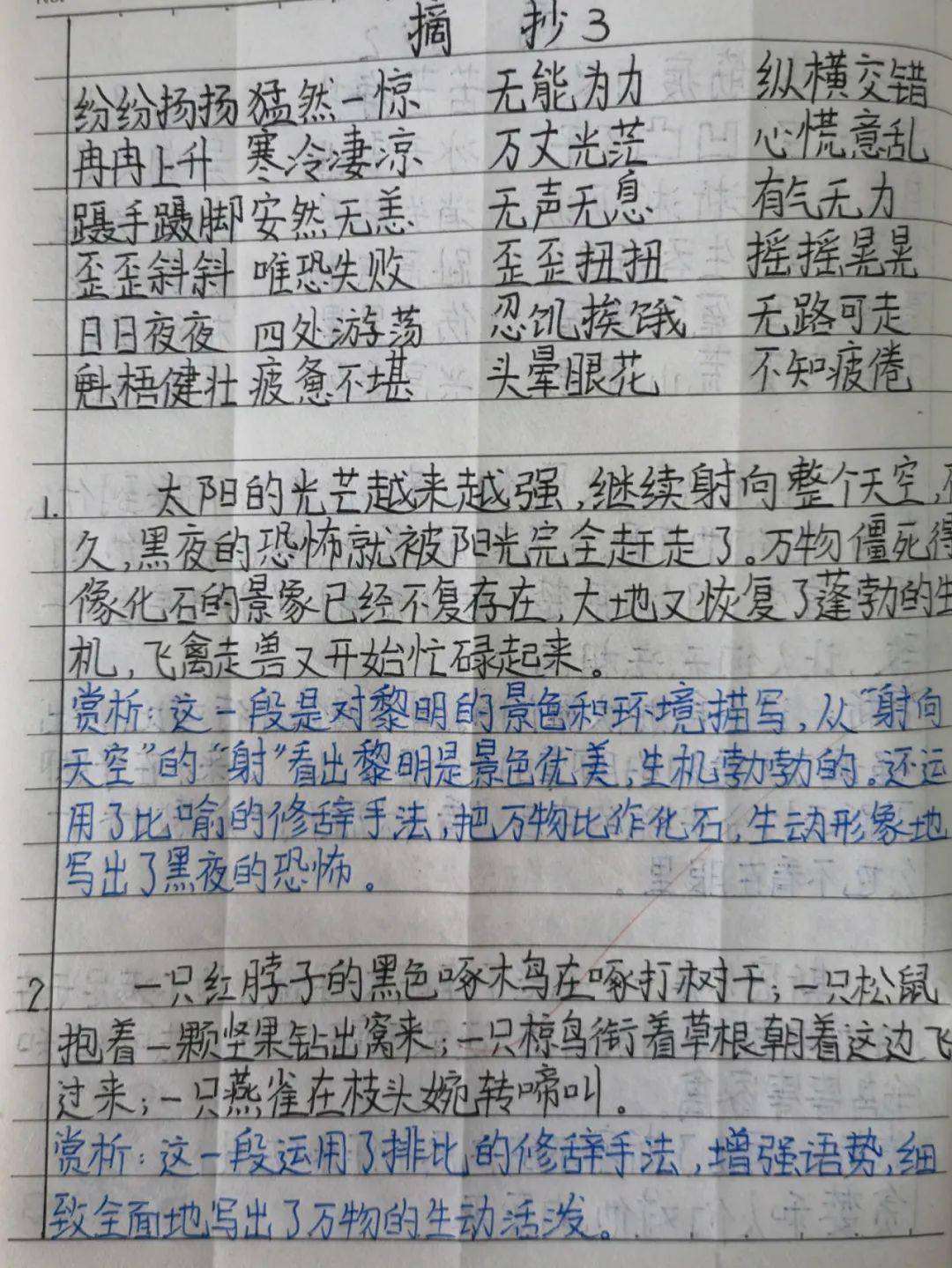f481afa152004be1b09272d15befffc8.jpeg