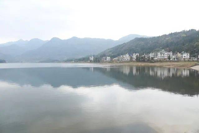 罗平县委书记海建才到龙王庙水库开展河(湖)巡查工作