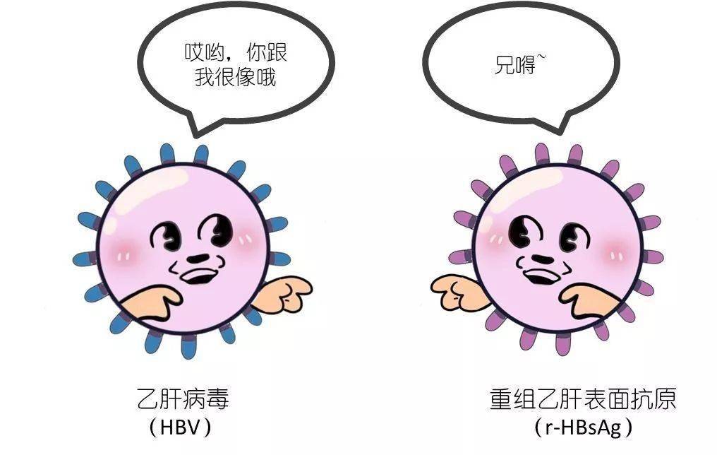 科普漫话乙肝疫苗的自白