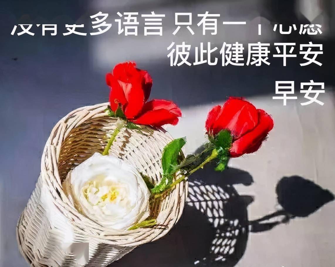 早晨安好我愿做一线晨光静静祝你幸福早晨好