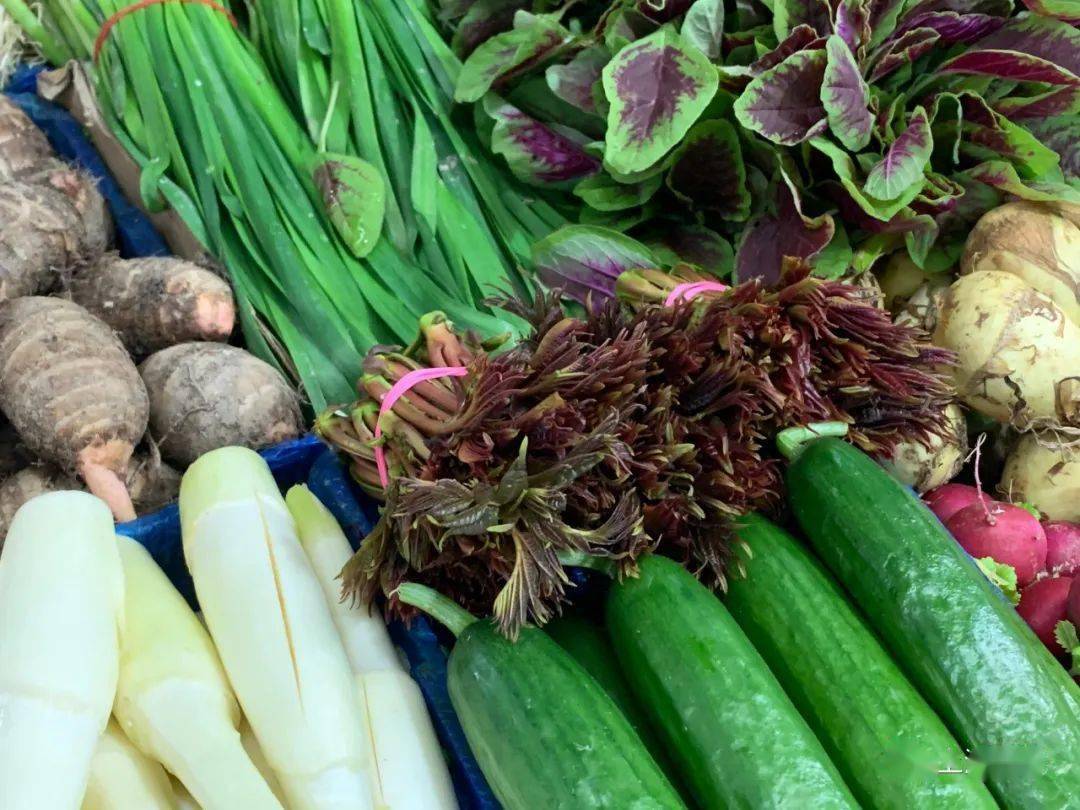 鲜嫩可口香椿荠菜马兰头春菜大量上市你尝鲜了吗