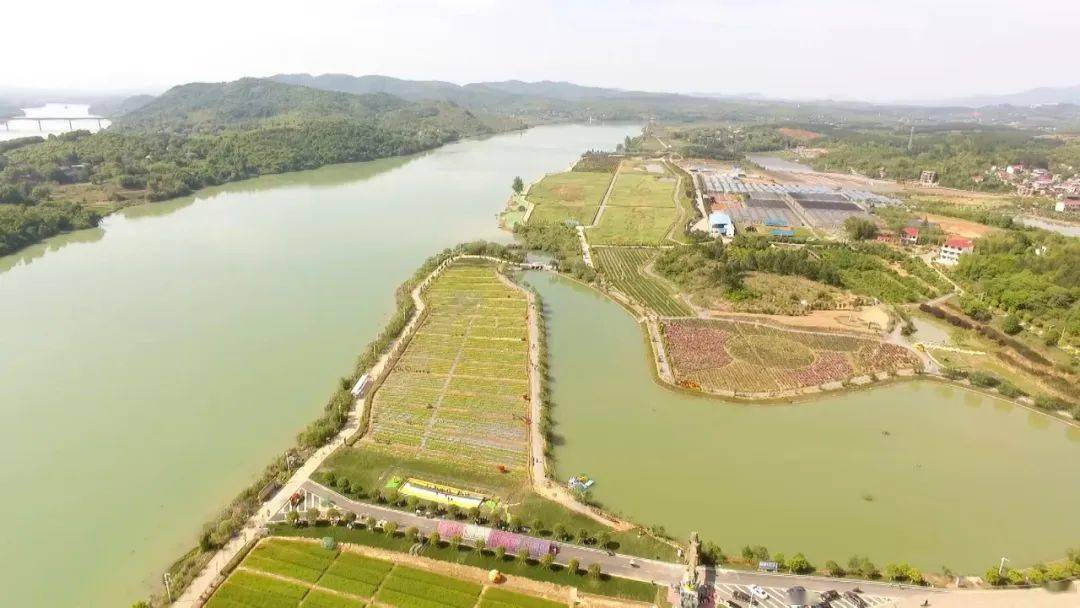 奋斗百年路02启航新征程茅竹镇三家村工作村为主0202乡村兴起来