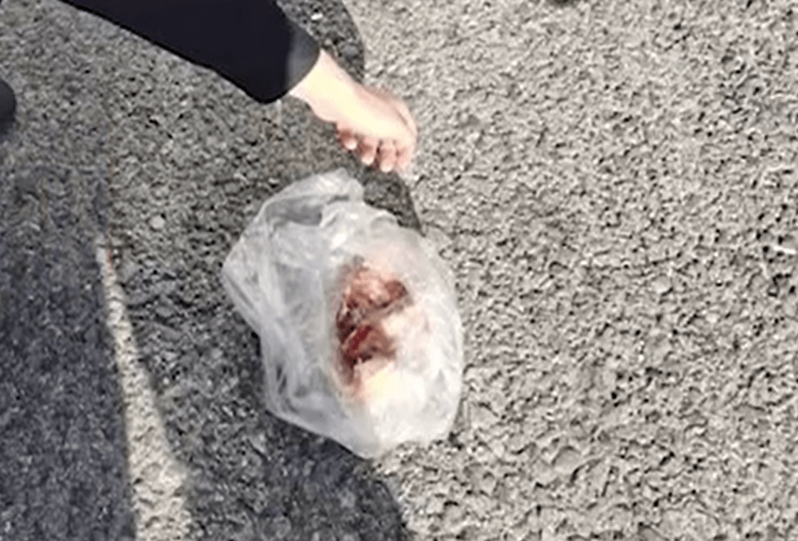 有眼不识锦鲤贵上海一男子偷价值5万的景观鱼晒成鱼干被刑拘