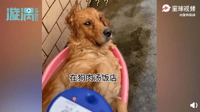 a45f8389efb14698bcddb6357c78cb0d.png