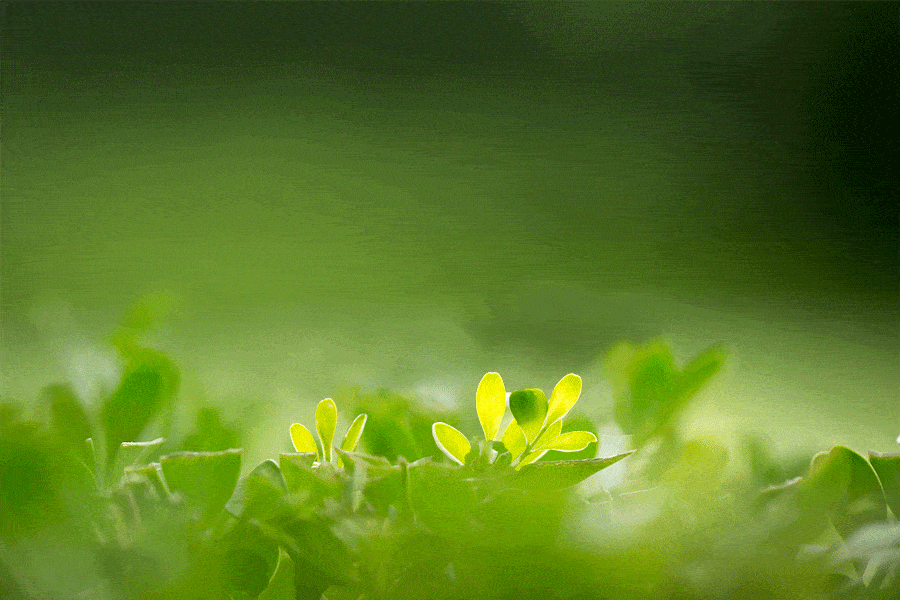 养生篇国医大师卢芳湿邪为患甚于寒