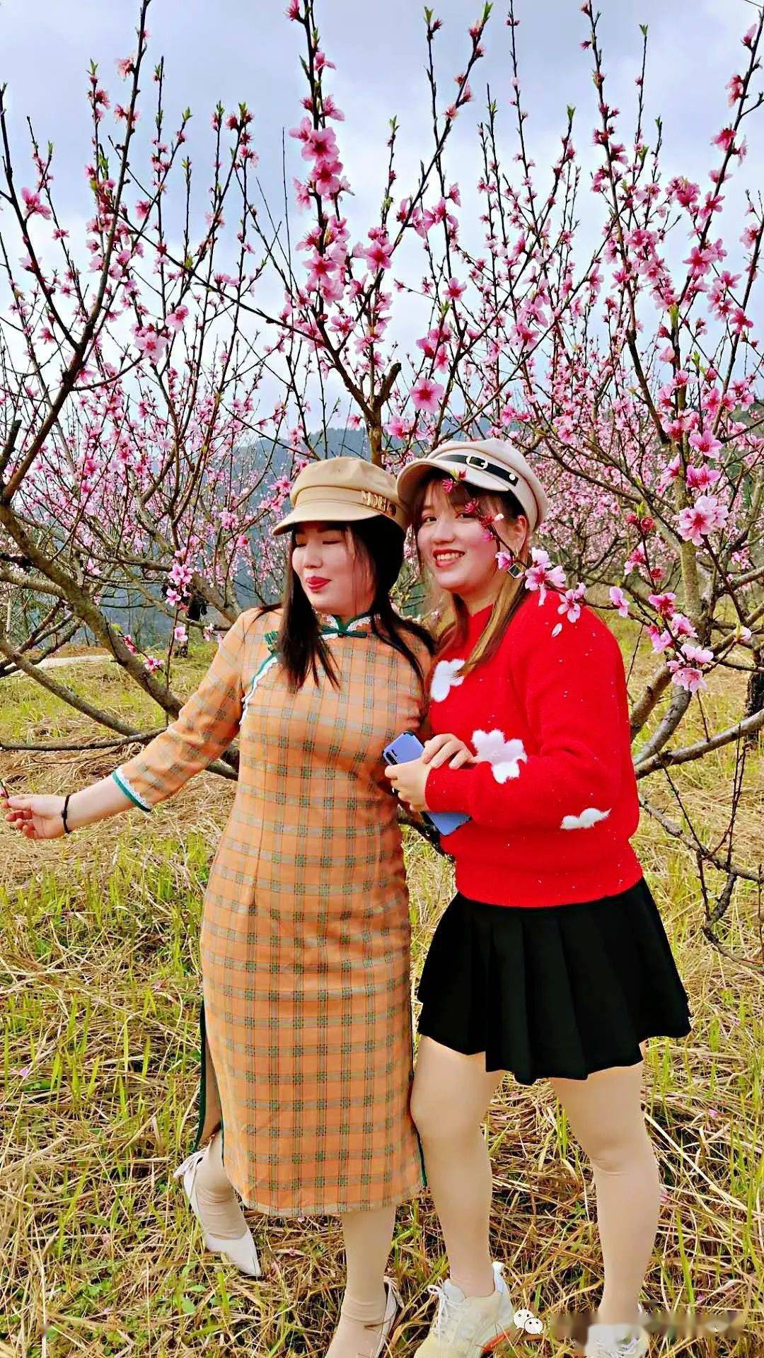 新化龙湾湿地公园桃花朵朵开美女乐开怀