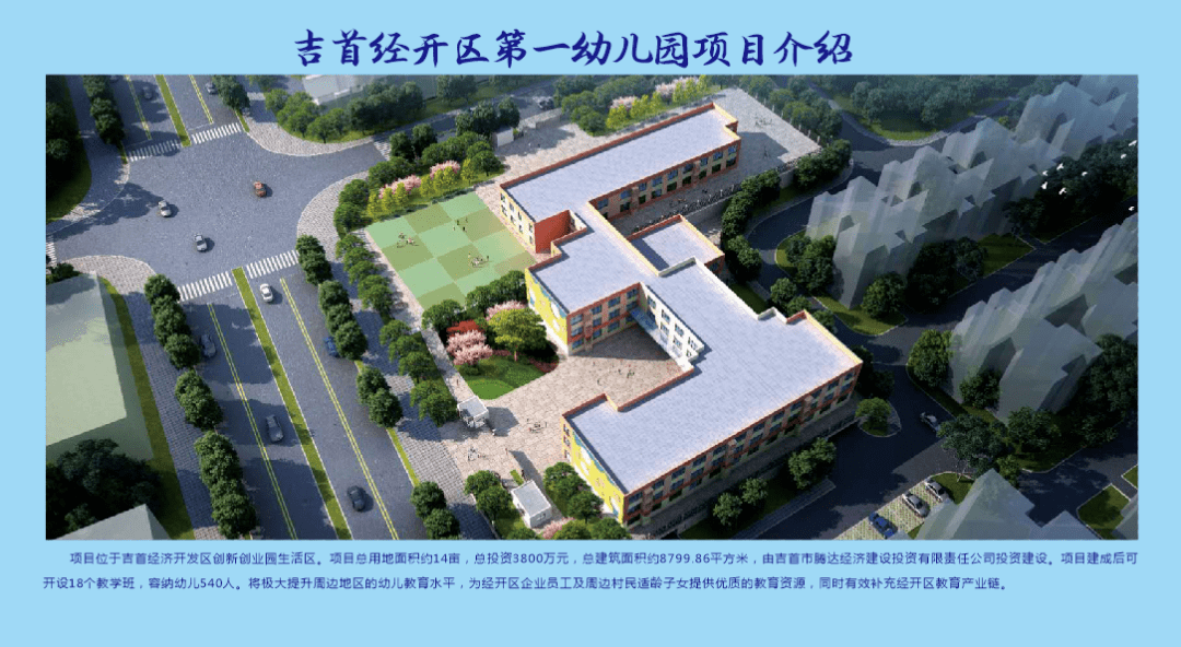 湘西保靖gdp2021_湘西保靖黄金茶图片