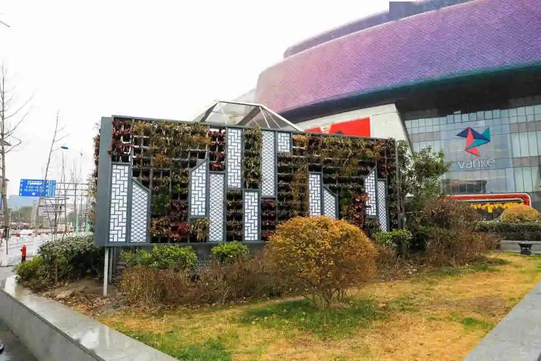 七宝街头又增添一处打卡地一年四季全都有看头