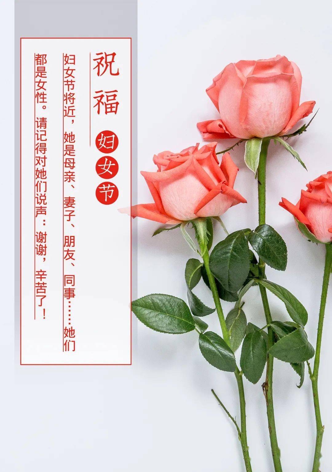 今日惊蛰 愿所有美好 与春天一道醒来 曾春霞