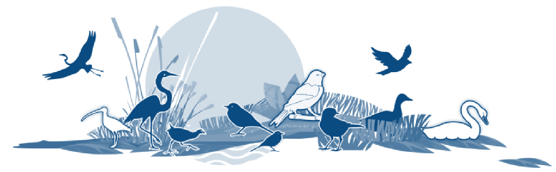 中国鸟类观察年报2020