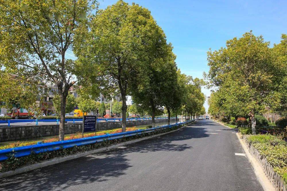 瓜沥美丽村道一条条陆续亮相有你熟悉的吗