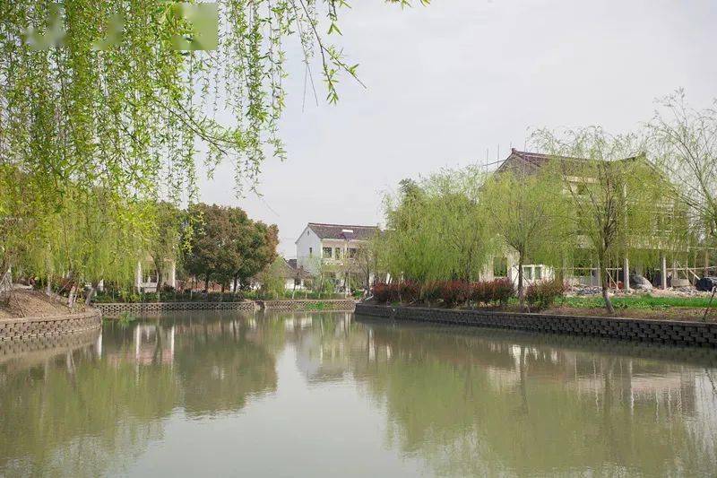 《嘉兴日报》点赞嘉兴科技城(大桥镇)打开乡村振兴"新天地"_整治